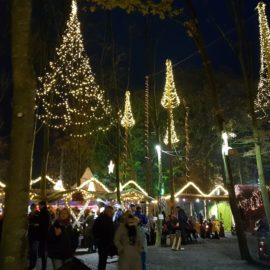 AWO-Tagesfahrt zum Waldweihnachtsmarkt nach Velen am 28. November AWO-Tagesfahrt zum Waldweihnachtsmarkt nach Velen am 28. November
