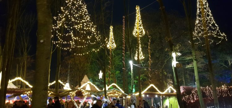 AWO-Tagesfahrt zum Waldweihnachtsmarkt nach Velen am 28. November Waldweihnacht in Velen am 28.11.2025